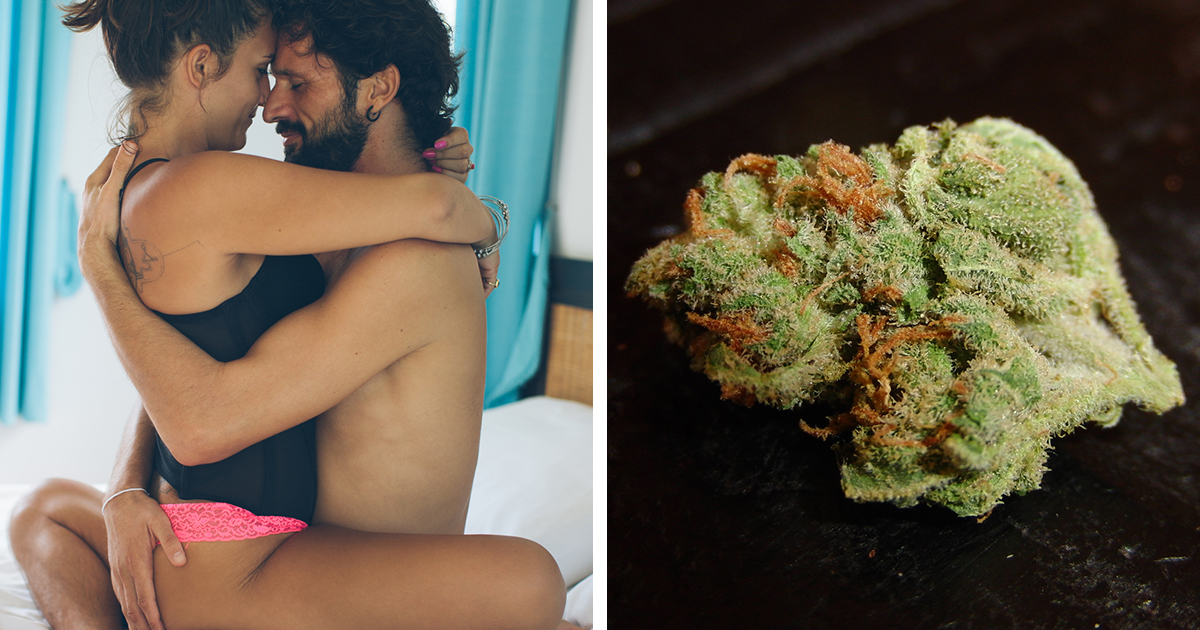Determining the sex of marijuana