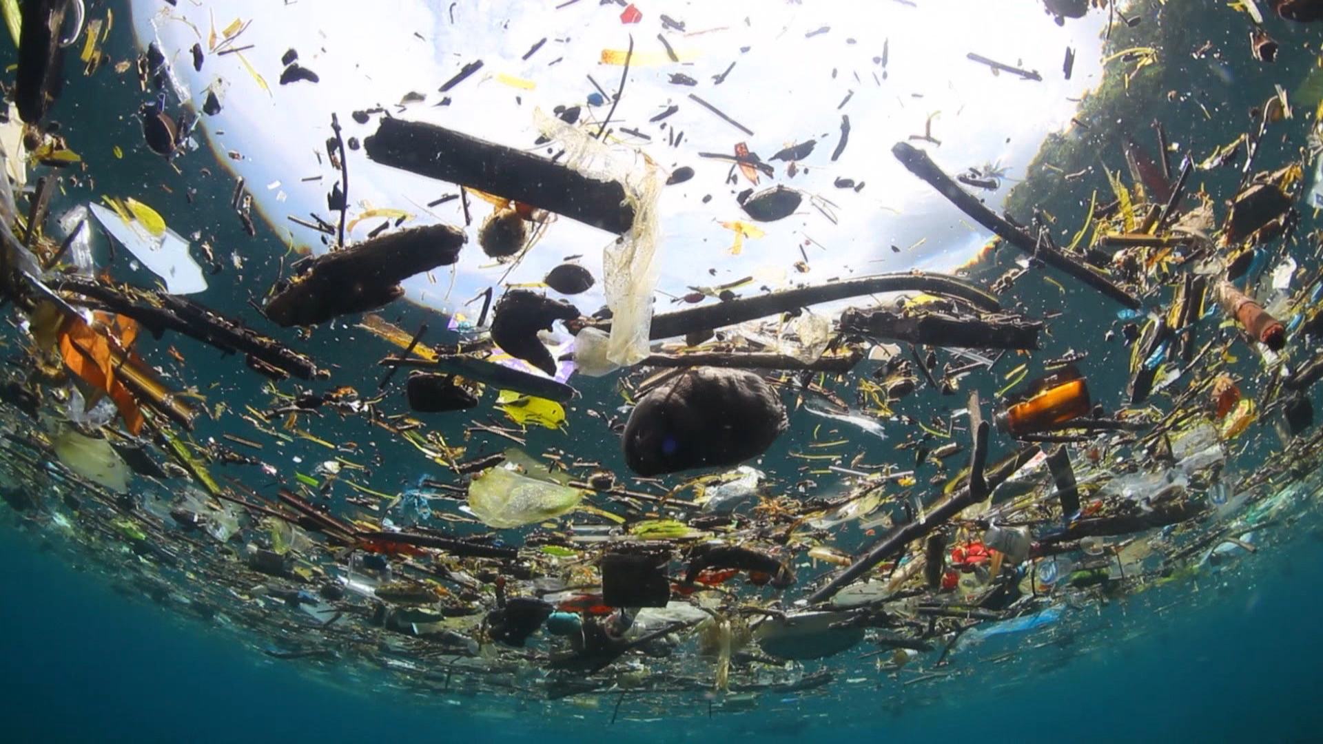 The Trash Isles Island Could Become A Country ATTN   031444533 Underwater Garbage Trash Float.mov .00 00 01 17.Still001 