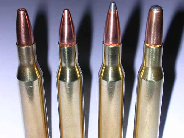 .270 ammunition