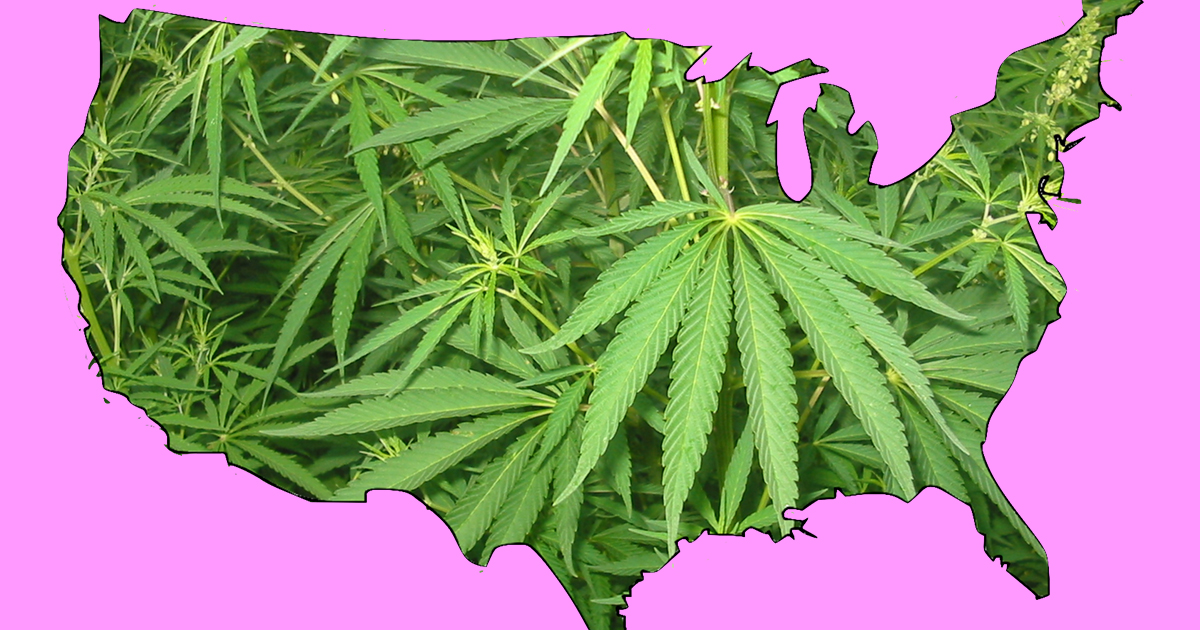 marijuana-plants-in-shape-of-map-of-united-states