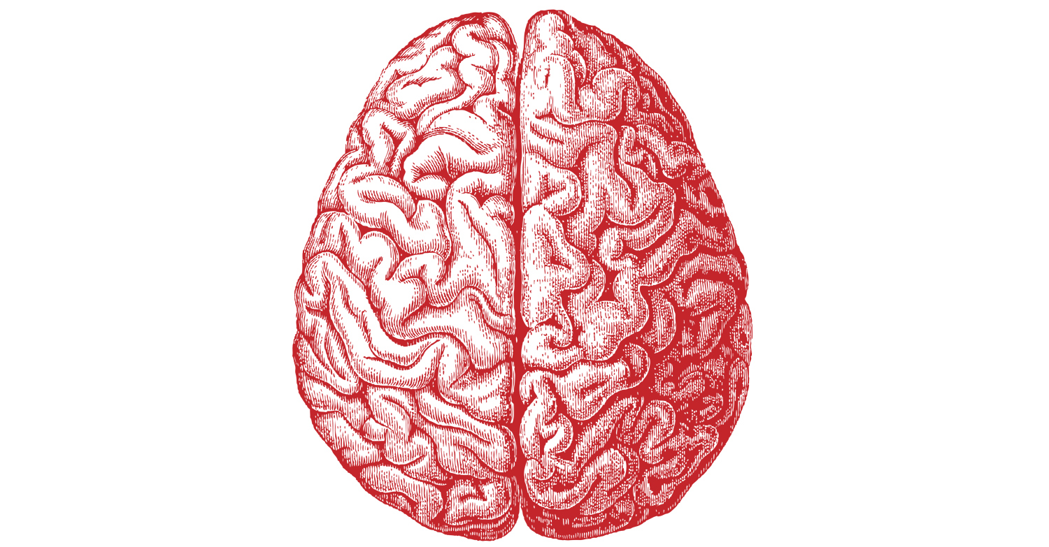 Brain picture