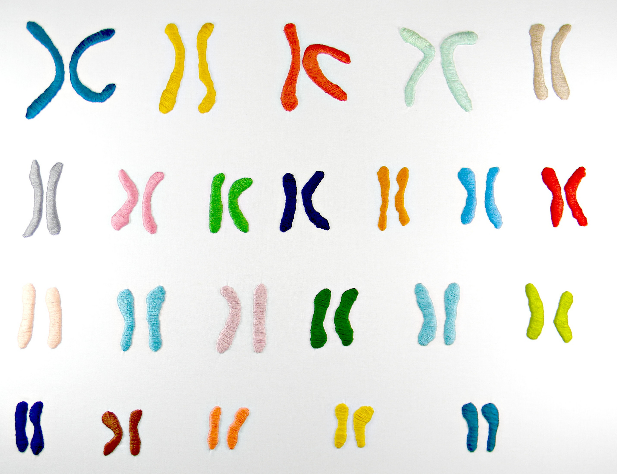 Female Karyotype