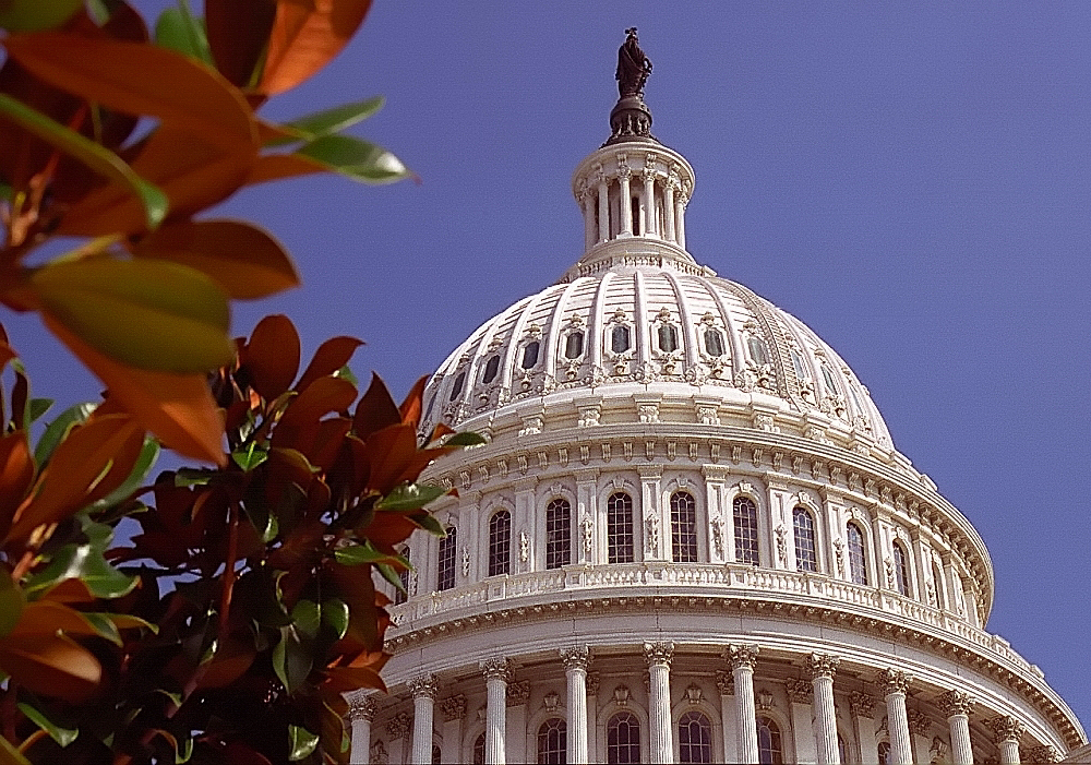 Capitol Dome, Washington D.C.