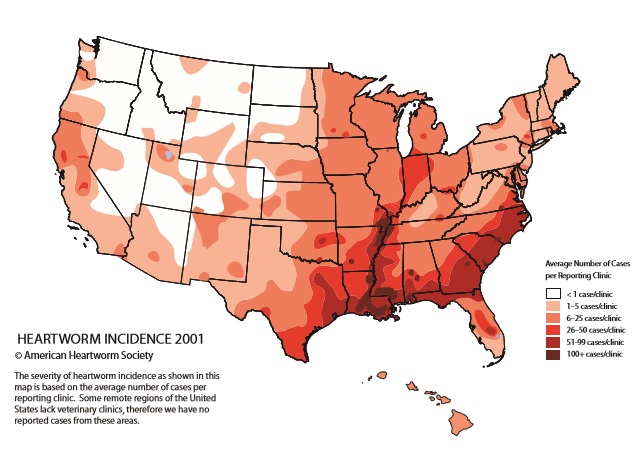 Heartworm case density in the U.S. in 2011.