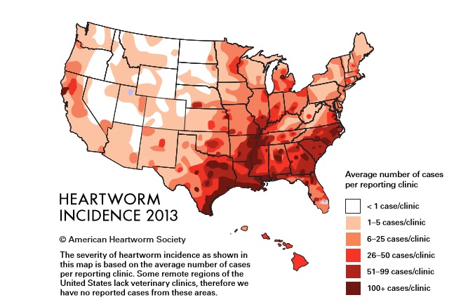 Heartworm case density in the U.S. in 2013.