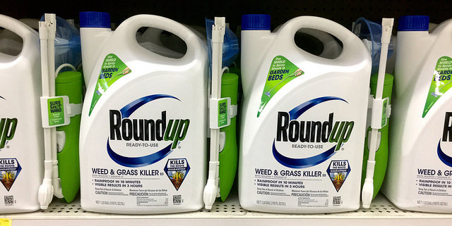 Roundup on the Shelves