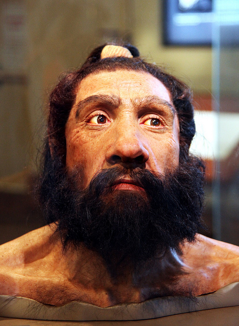Neanderthal Bust Smithsonian