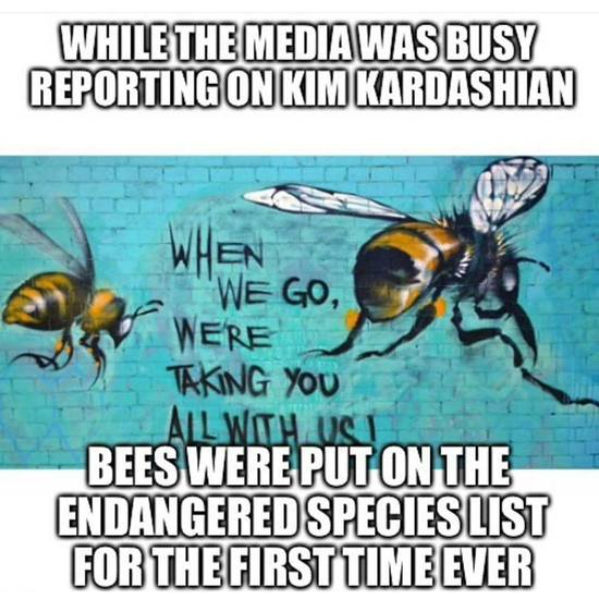 You re Being Lied To About Bees They Aren t Dying Off ATTN 