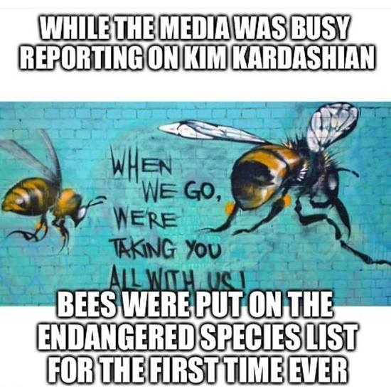 Endangered Bee Meme