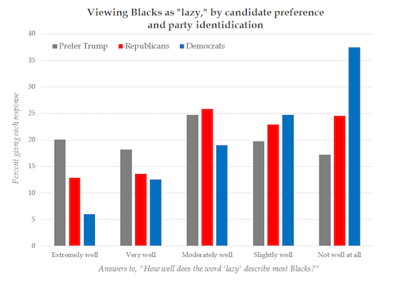 How some voters view Black people 