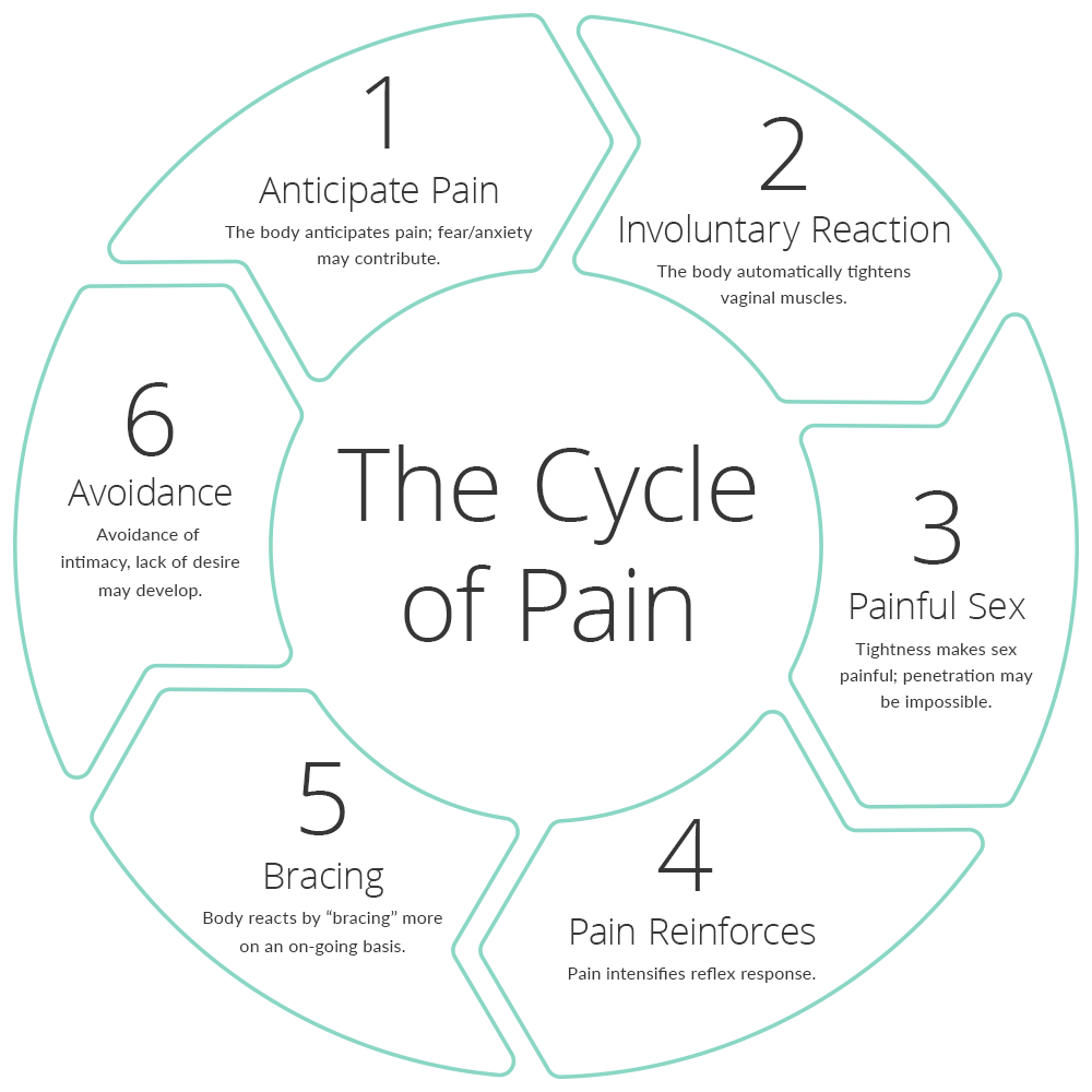 vaginismus cycle of pain chart