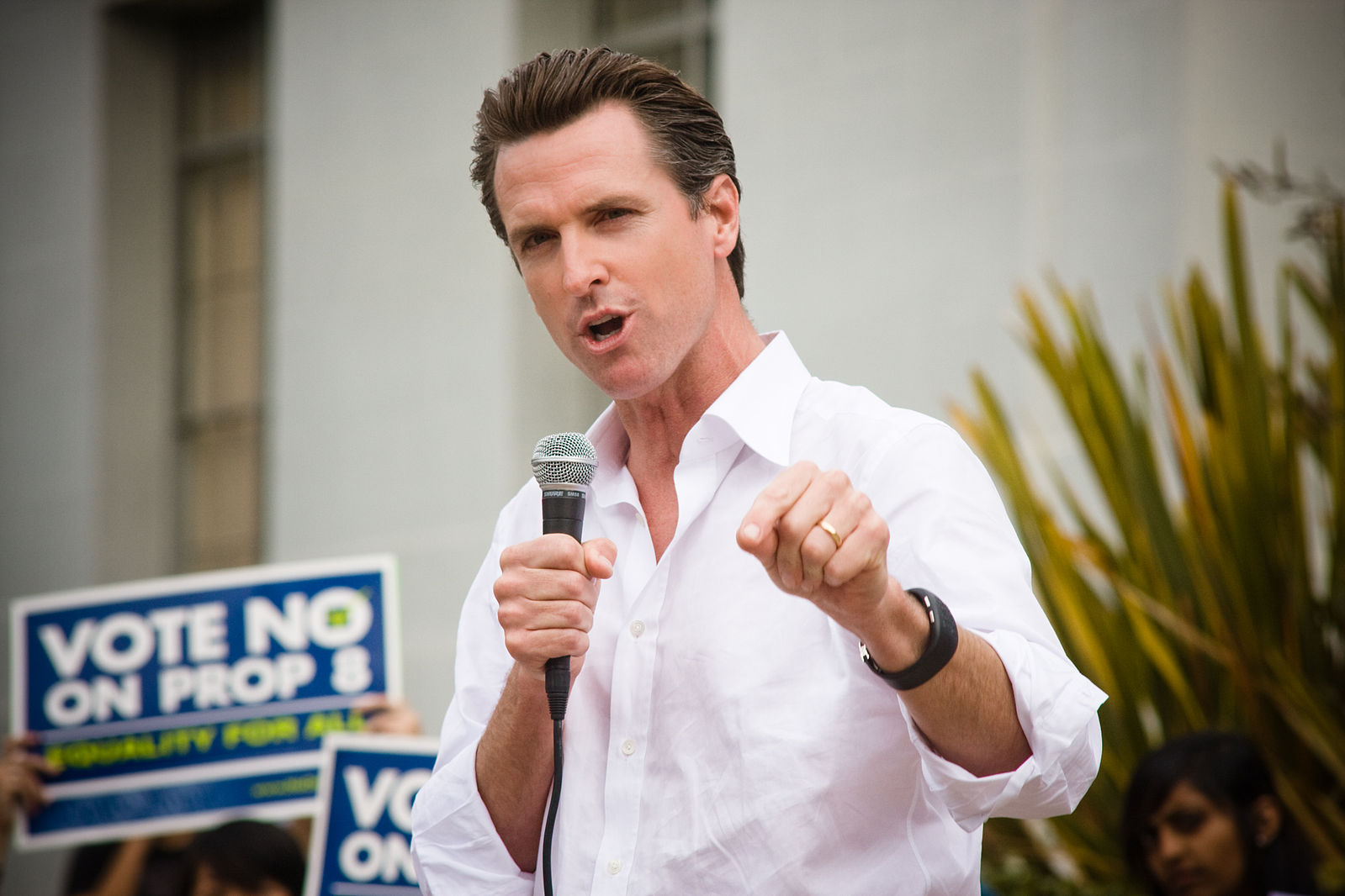 gavin newsom