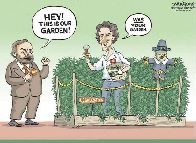 Canada cannabis comic