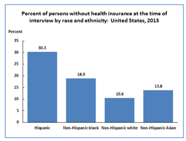 2013 Health Insurance Demographics 
