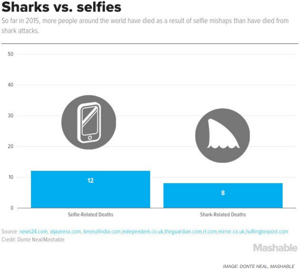 Selfie vs Shark
