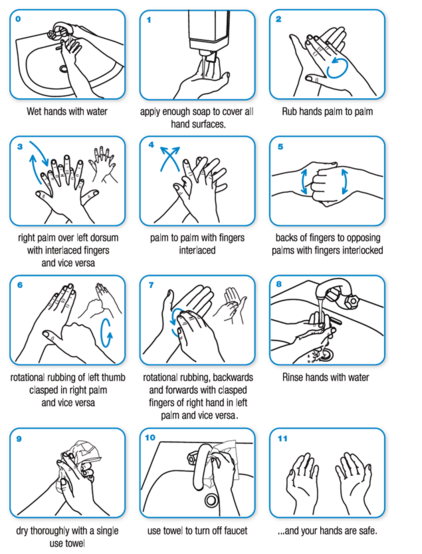 WHO Six-Step Method