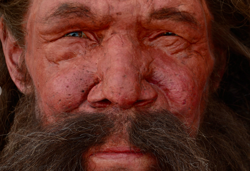 Famous First Humans What Did The First Humans Look Like