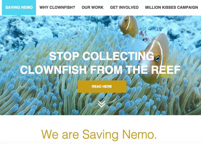The Saving Nemo Conservation Fund