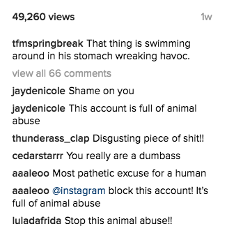 instagram comments TFM Spring Break