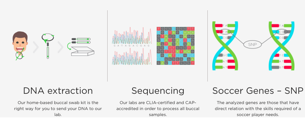 soccer genomics