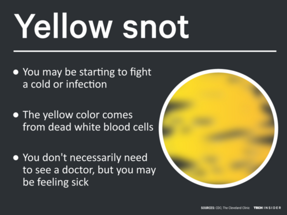 yellow snot