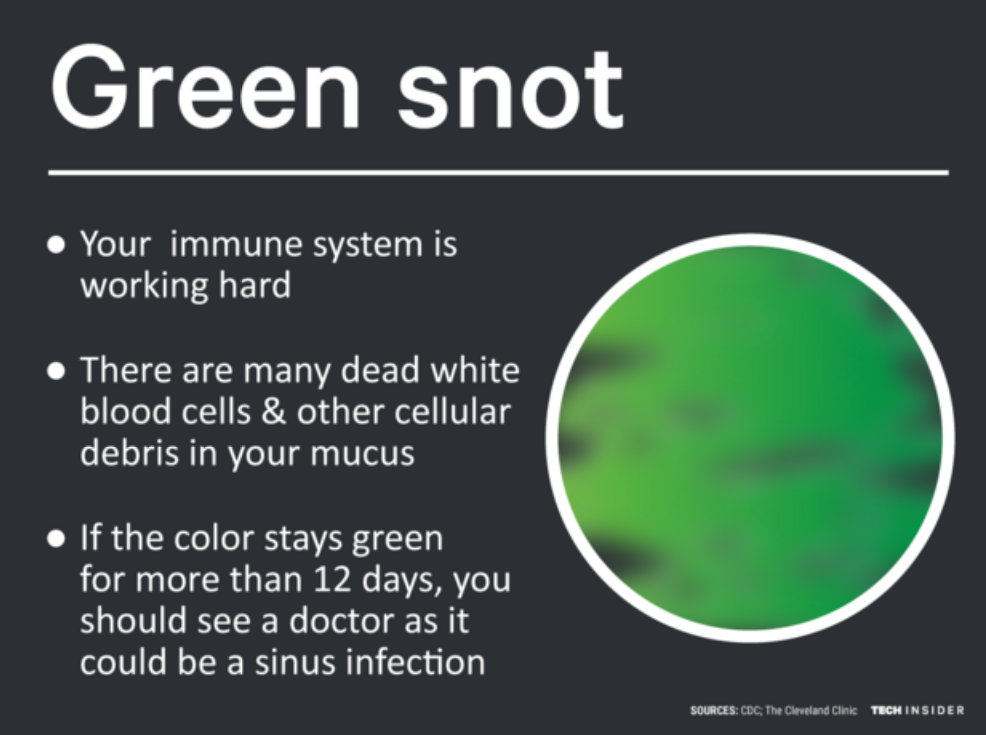 green snot info