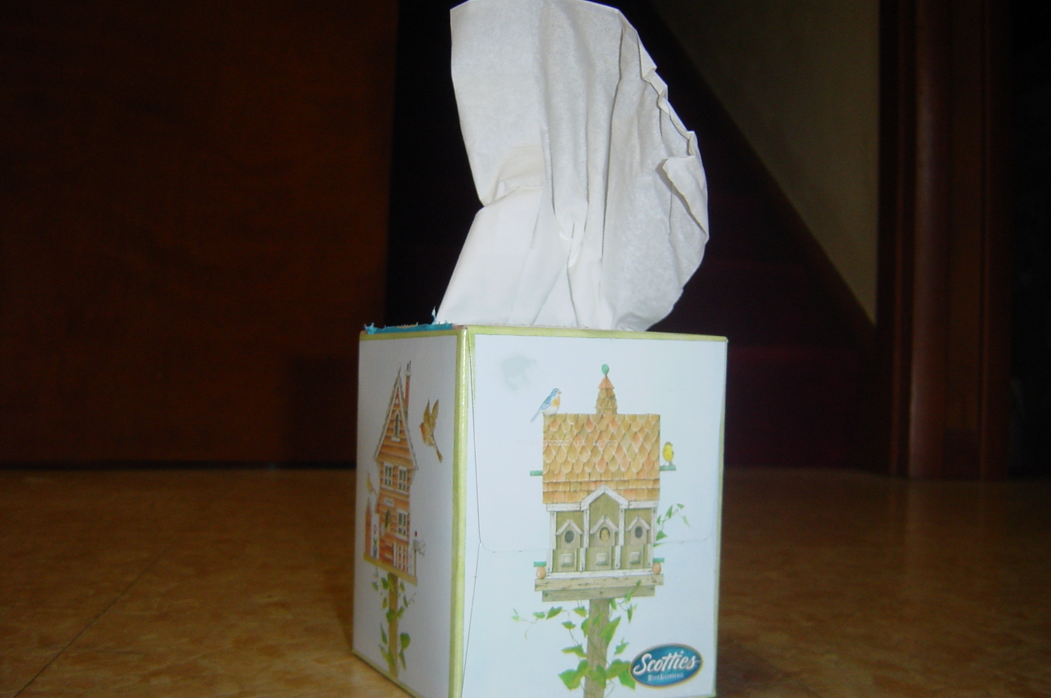 tissues