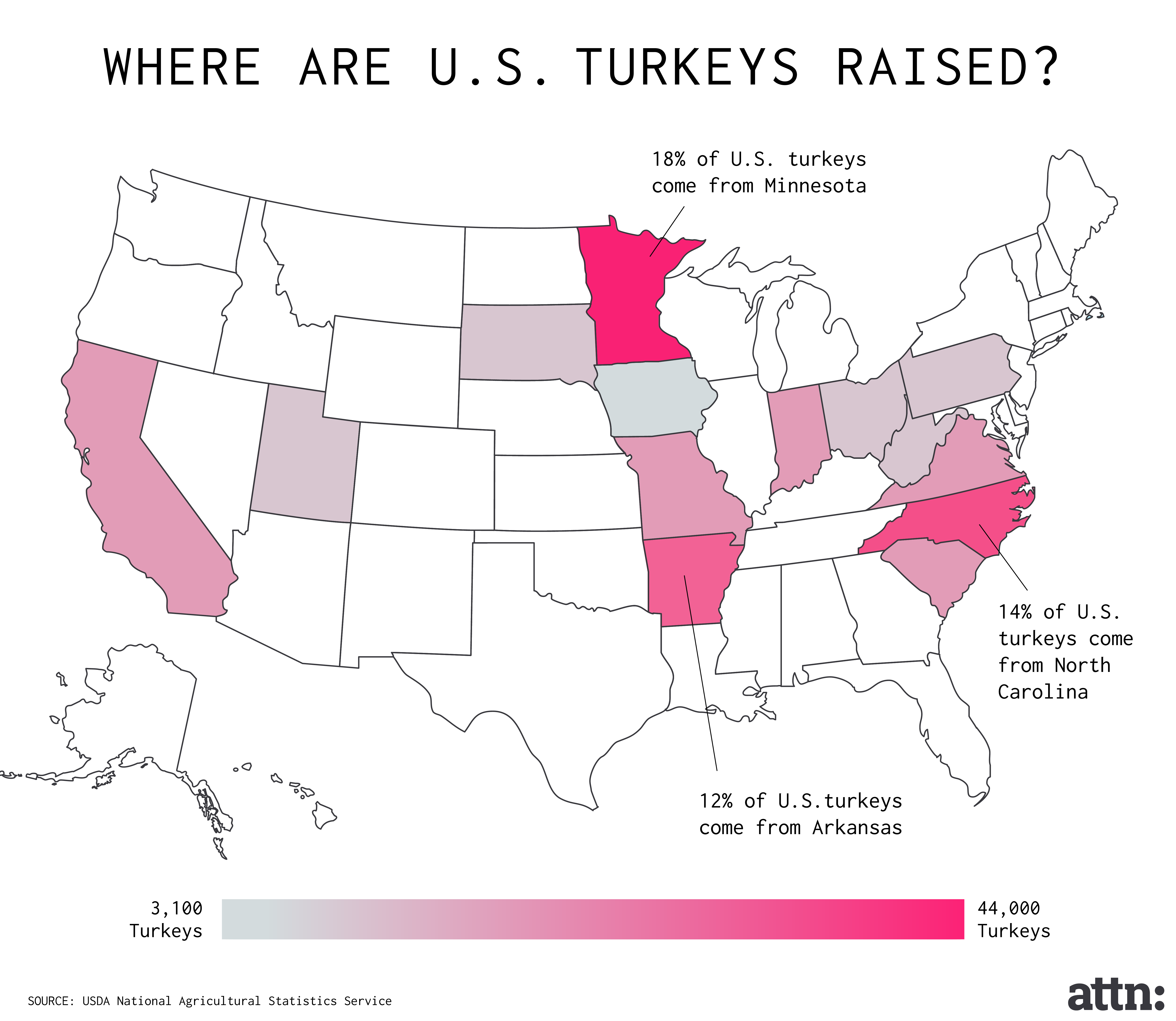 How to prepare turkey breast for thanksgiving How to prepare turkey breast for thanksgiving