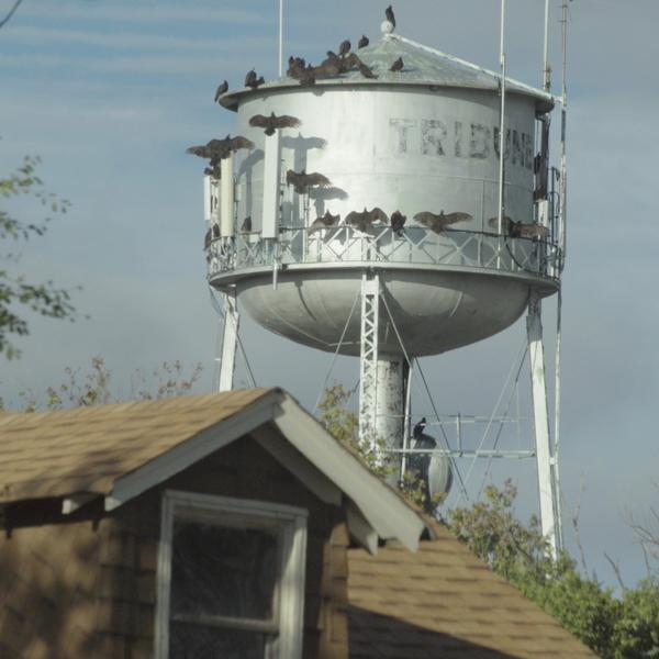 Tribune water tower