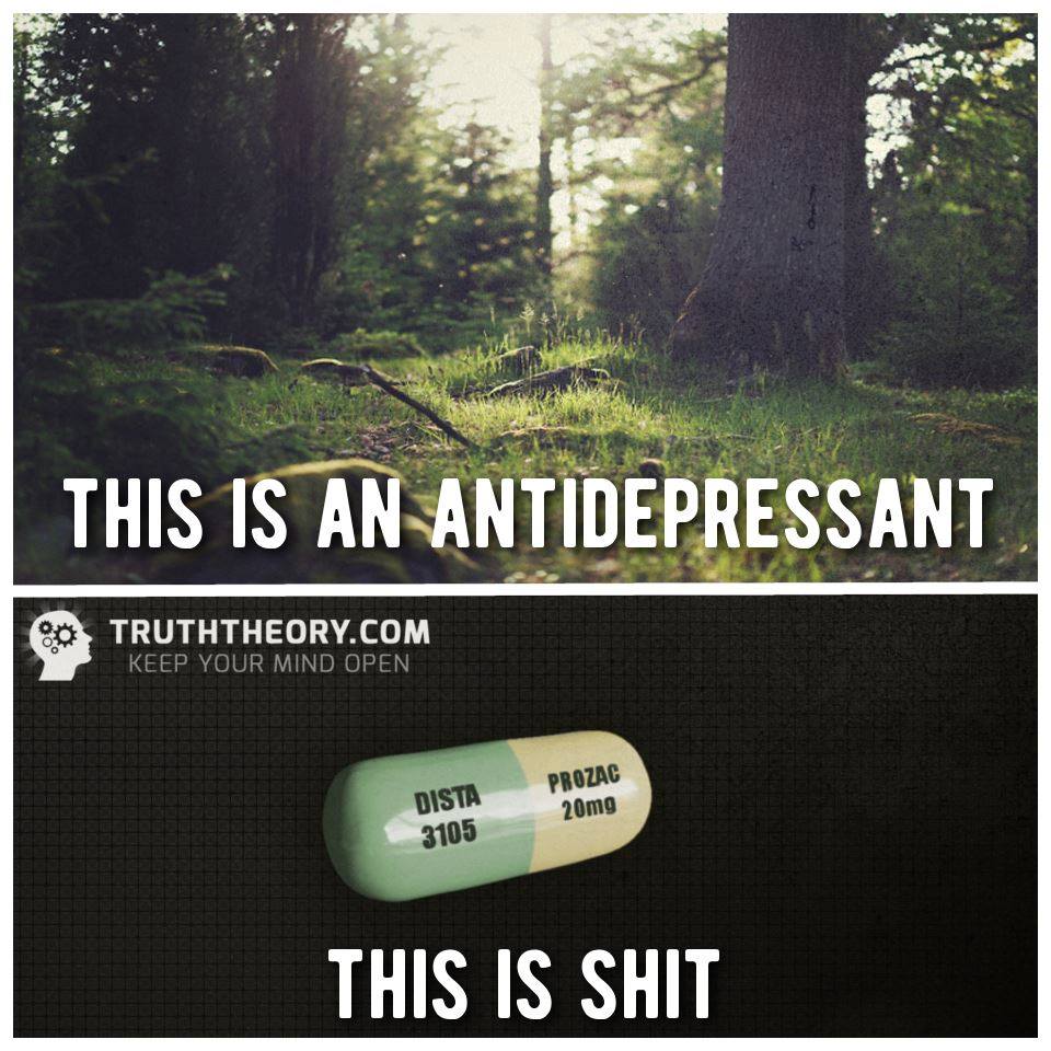 antidepressant meme thruth theory