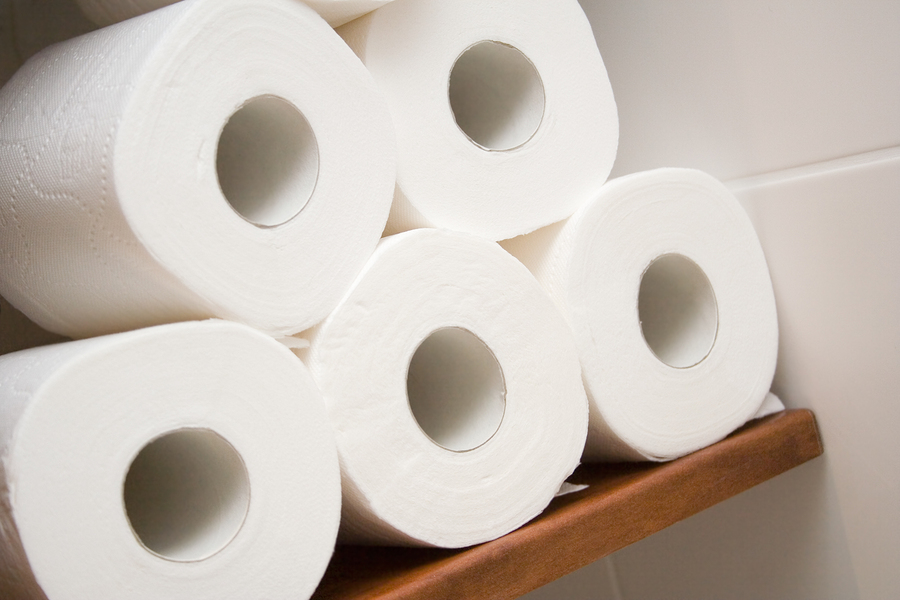 toilet paper rolls