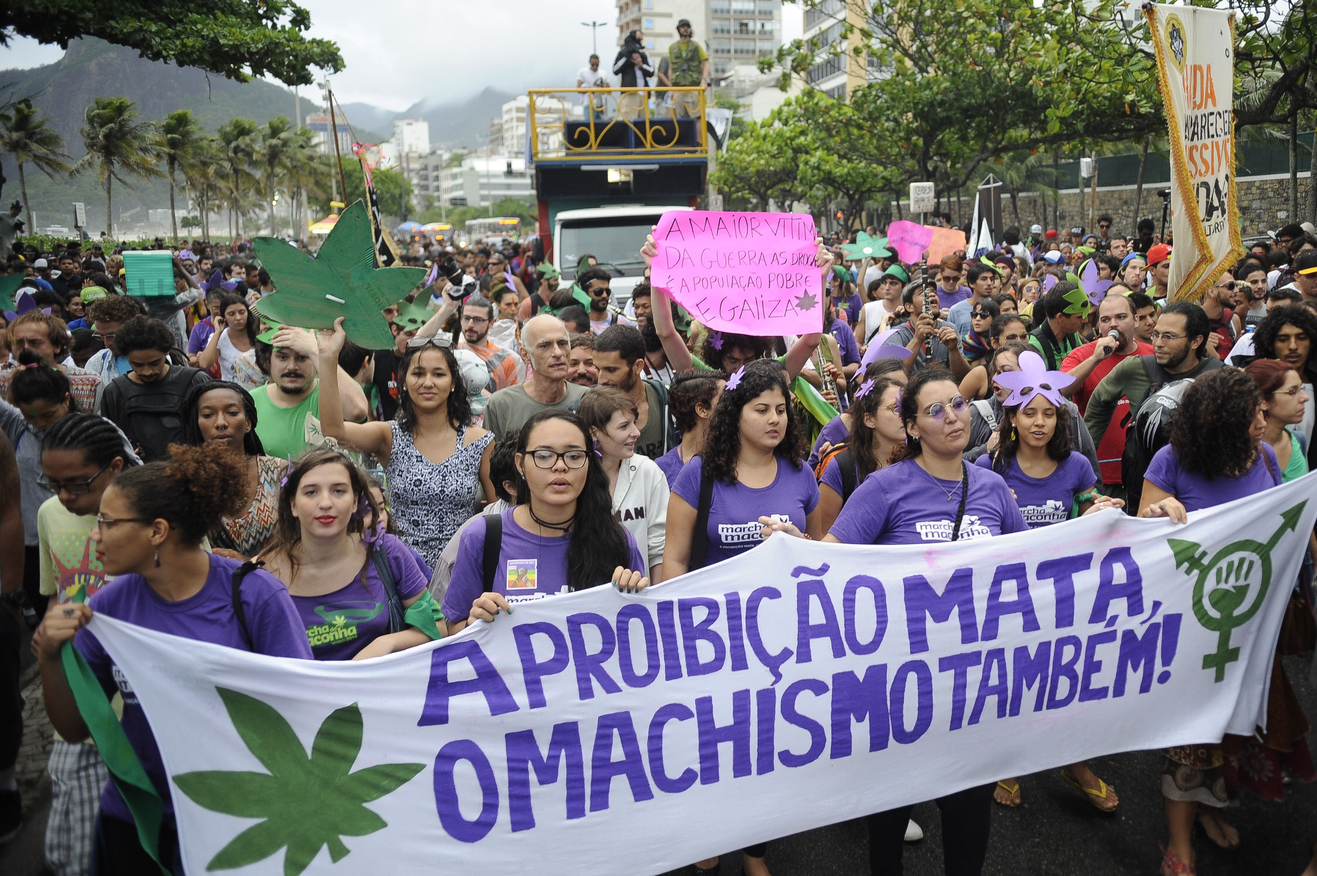 Brazil cannabis