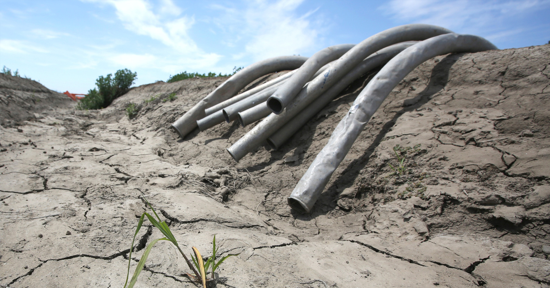 California drought is drying out agriculture