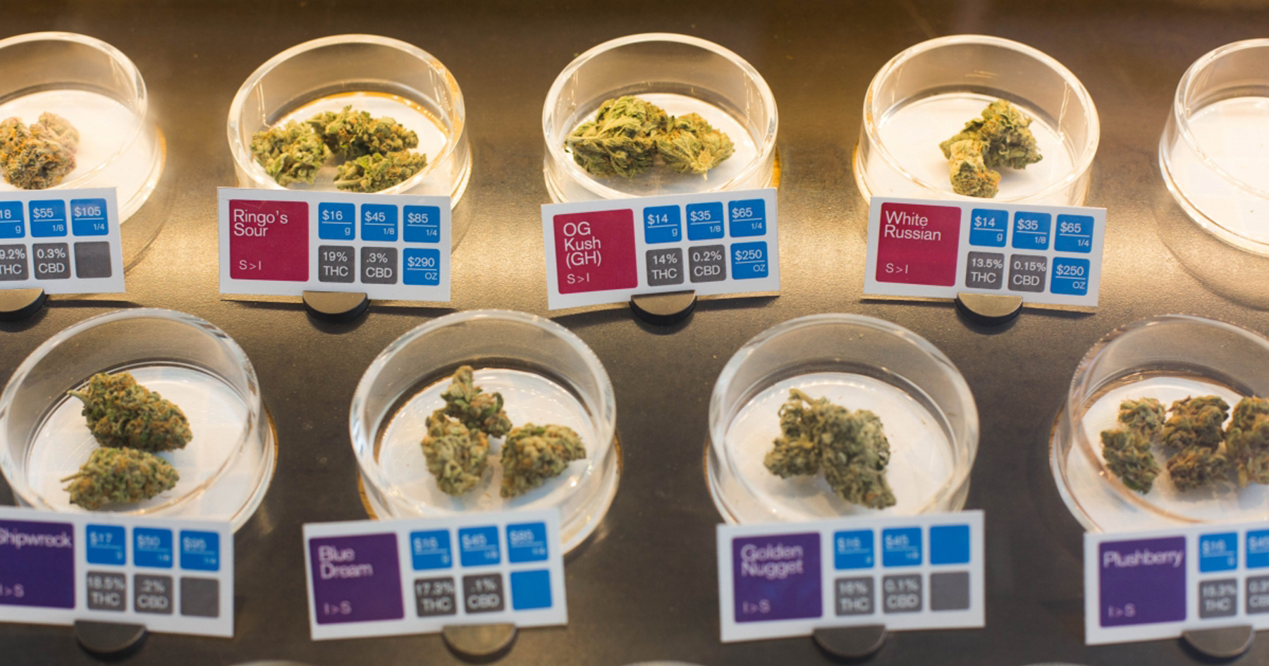 samples-of-medical-marijuana-strains