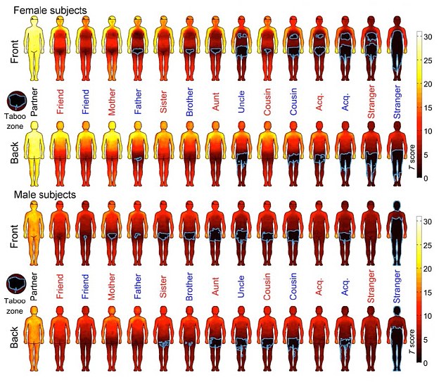 Body map index