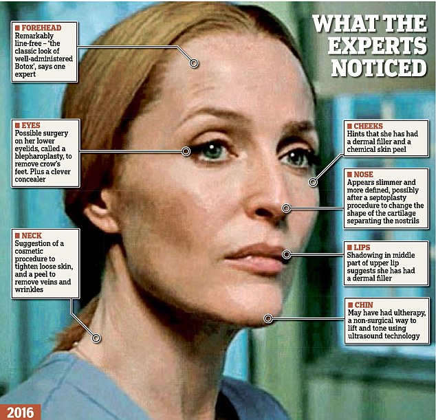 Daily Mail Gillian Anderson piece