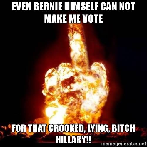 Bernie Middle Finger Meme