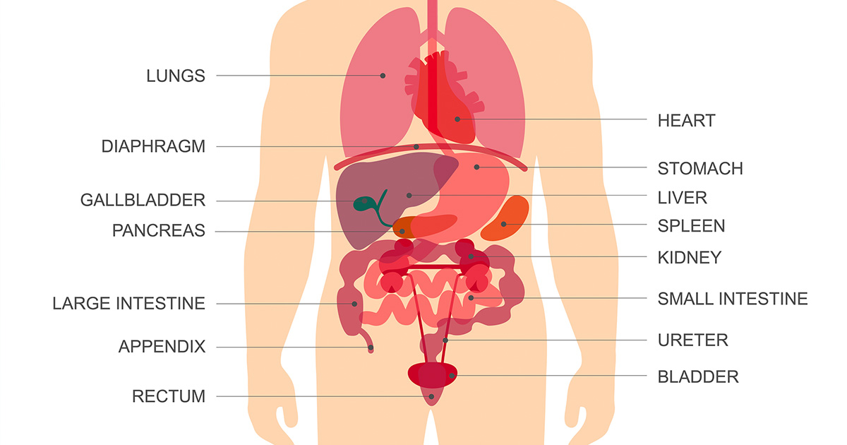 When Happens When You Hold In Your Poop ATTN