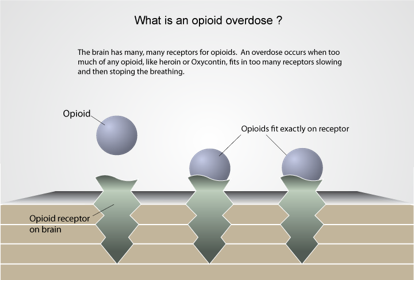 naloxone