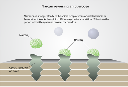 naloxone