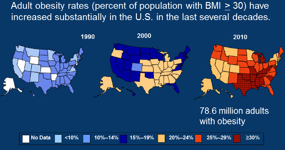 Adult obesity rates