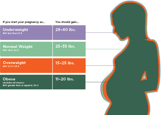 pregnancy weight gain recommendations 