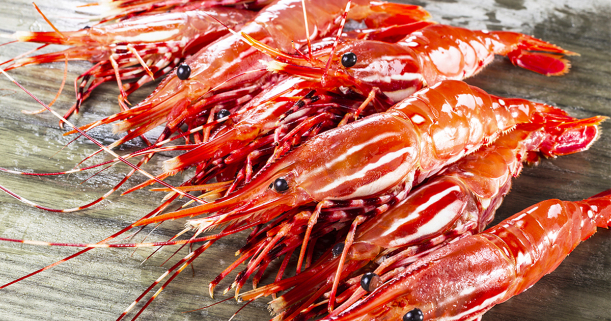 Vegan Substitute for Shrimp Has Been Created ATTN