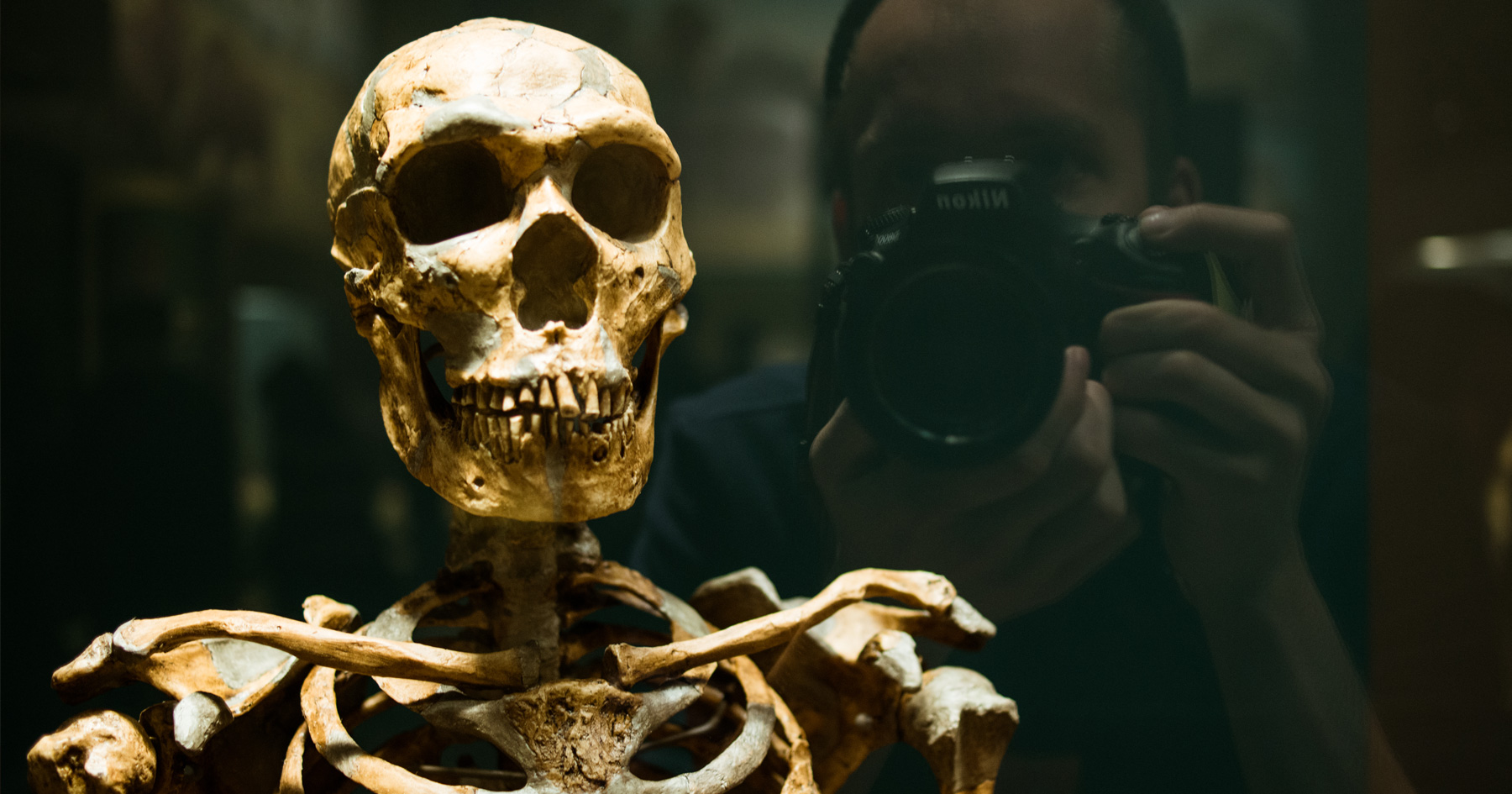 фото настоящего скелета