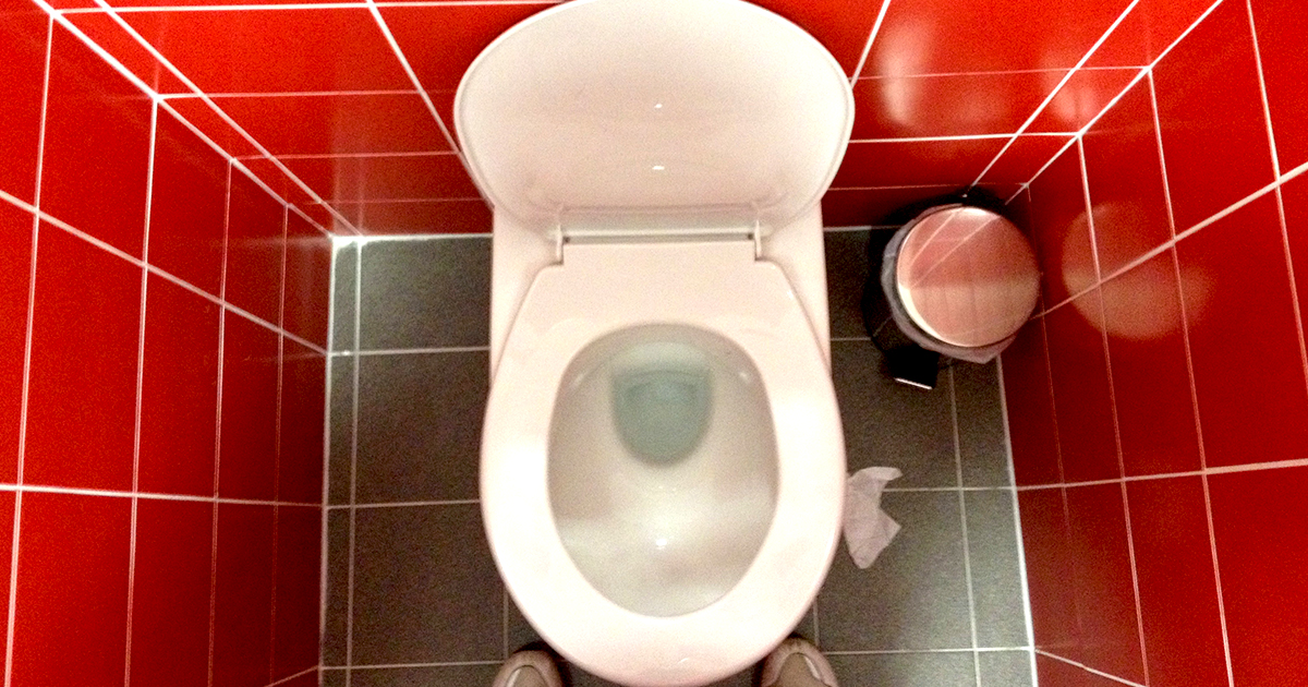 ������� ���� �� ������ ������ ���� ����� ������