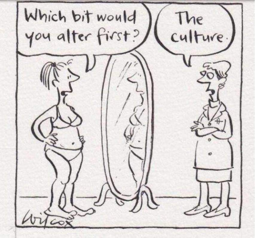  Which bit would you alter first? Answer: The culture (comic)