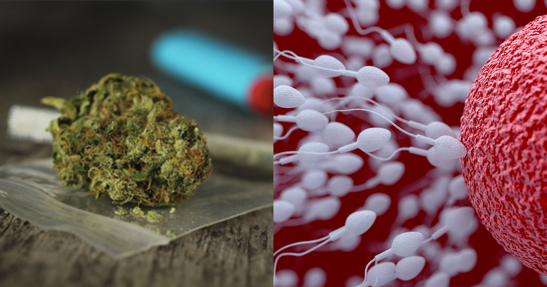 марихуану влияет на сперму
