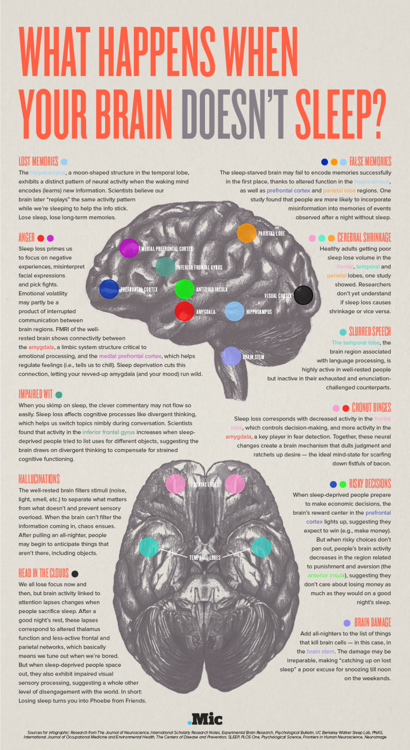 what happens when your brain doesn't sleep graphic