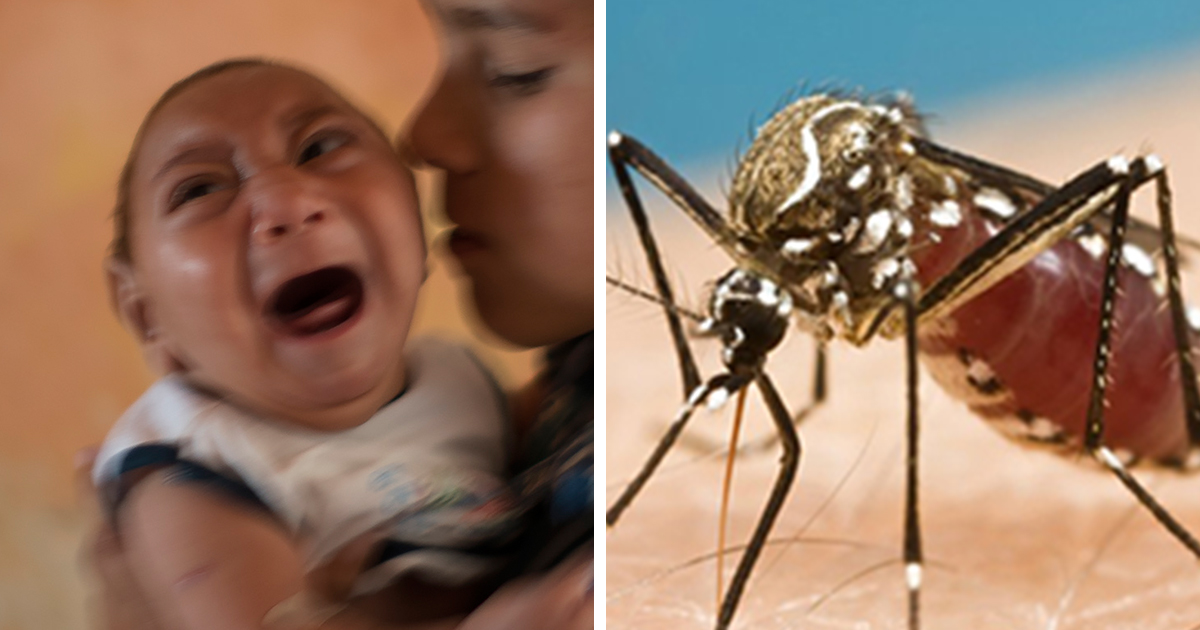 baby-with-zika-virus-mosquito